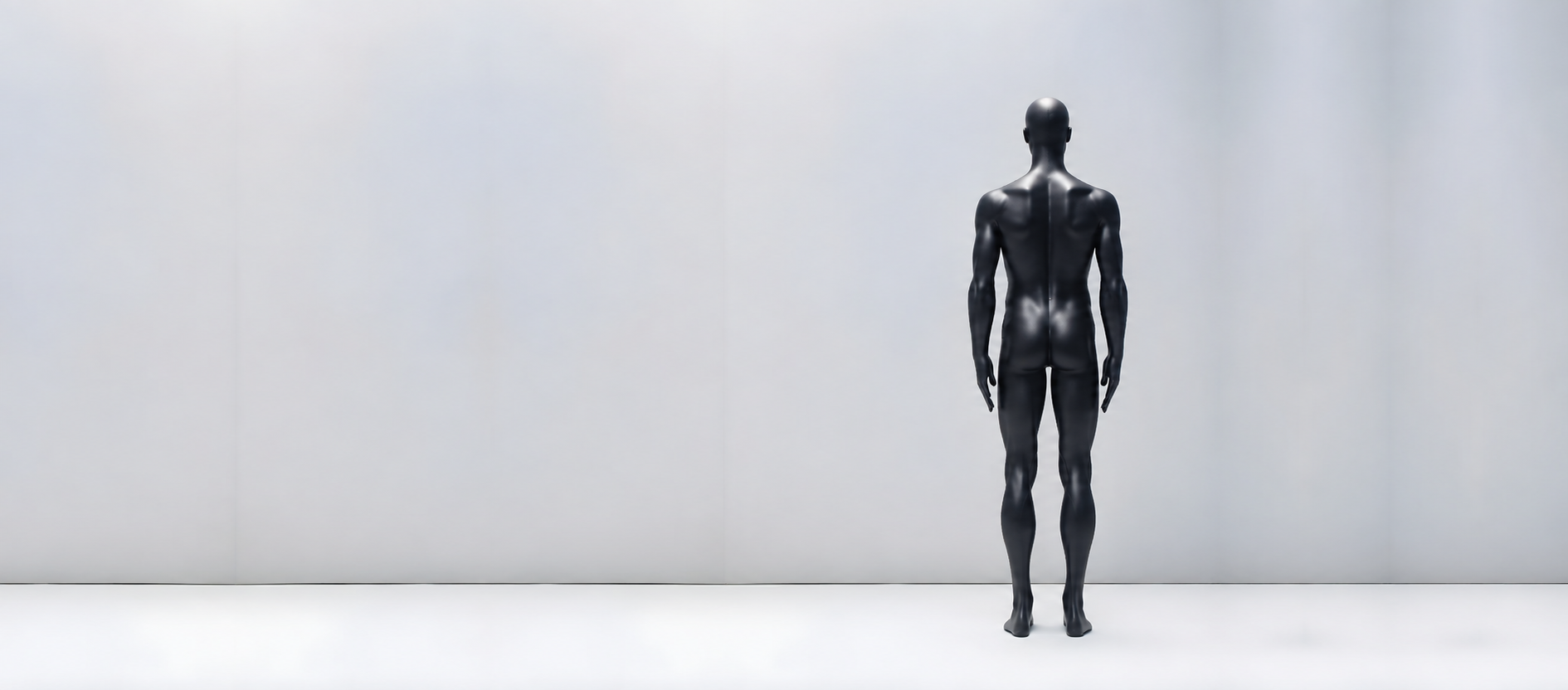 Back view of a human body for selecting an injury area